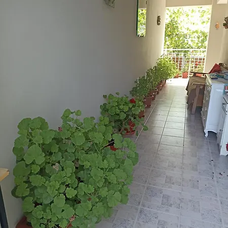 Pensjonat Era Studios2 3*